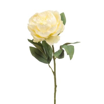 Fiore artificiale peonia IFEOMA, crema, 65 cm