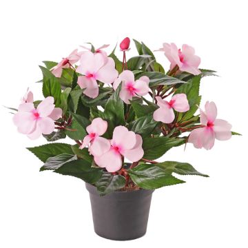Fiore di lisetta artificiale AGENI, rosa, 25cm, Ø4-6cm
