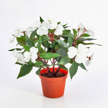 Fiore di lisetta artificiale AGENI, bianco, 25cm, Ø4-6cm