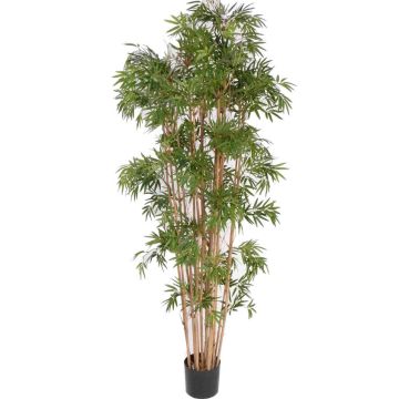 Bambù artificiale NARO, tronchi veri, 210cm