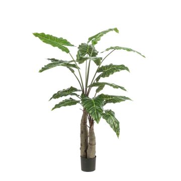 Pianta artificiale Alocasia Sanderiana ALBULA, verde, 150 cm