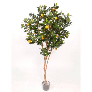Mandarino sintetico MITRA, tronchi veri, con frutti, verde, 180cm