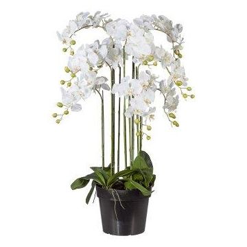 Orchidea Phalaenopsis artificiale LOPASY, radici, bianca, 110 cm