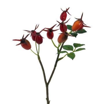 Ramo decorativo rosa selvatica BRULFI con bacche di rosa canina, arancione, 25 cm
