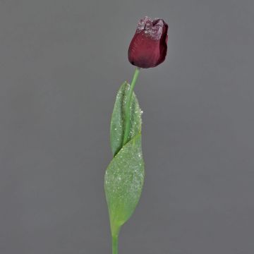 Tulipano finto PILVI, effetto brina, rosso scuro, 65cm, Ø5cm