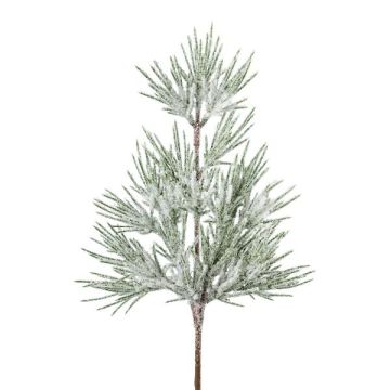 Ramo artificiale di pino GRAVEL, innevato, bianco-verde, 40 cm