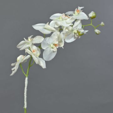 Phalaenopsis artificiale NALANI, innevato, bianco, 80cm, Ø8-10cm
