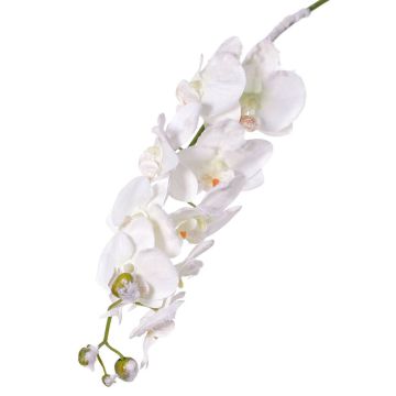 Phalaenopsis artificiale NALANI, innevato, bianco, 80cm, Ø8-10cm
