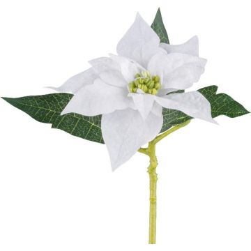 Fiore di plastica Stella di Natale KASNERK, bianco, 40 cm
