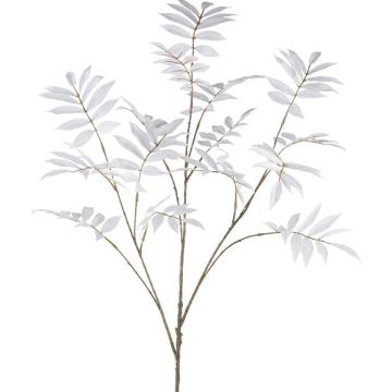 Ramo decorativo sorbo DRILTO, bianco, 110 cm