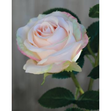 Rosa artificiale DELILAH, rosa chiaro, 55cm, Ø6cm