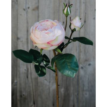 Rosa centifolia artificiale MIRETTA, rosa-verde, 60cm, Ø3-9cm