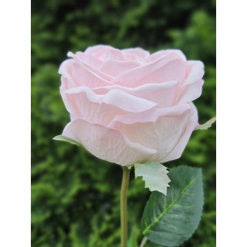 Rosa artificiale MARNUK, rosa chiaro, 60 cm