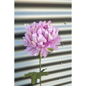 Crisantemo artificiale FYRFOR, rosa chiaro, 70 cm