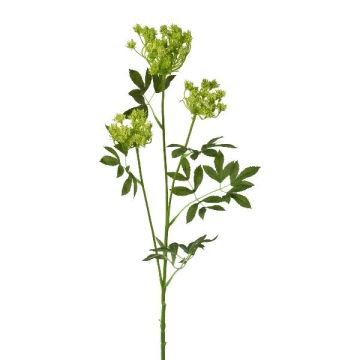 Ramo artificiale Carota selvatica TOLHER, verde, 85 cm