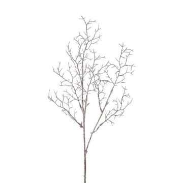 Ramo decorativo corallo ZORVEK, ghiacciato, bianco-marrone, 70 cm Ramo decorativo corallo ZORVEK, ghiacciato, bianco-marrone, 70 cm