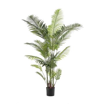 Palma artificiale TAWAN, 200 cm