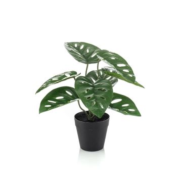 Pianta artificiale filodendro monstera adansonii PRUMEX, vaso decorativo, 28 cm