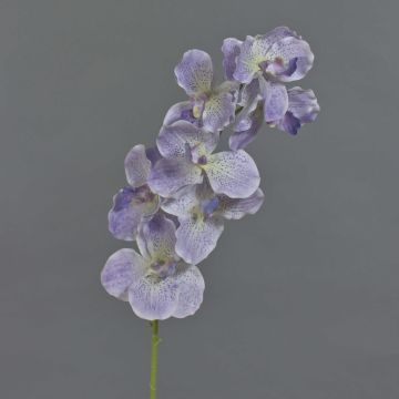 Ramo artificiale orchidea Vanda LODON, lilla chiaro-bianco, 75 cm
