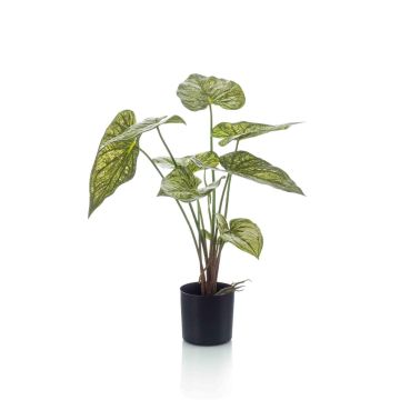 Pianta artificiale Caladium YAWAR con radici, verde-giallo, 60 cm
