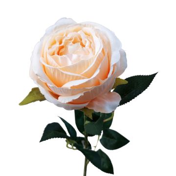 Fiore artificiale rosa CHERLEN, albicocca, 60 cm, Ø 10 cm