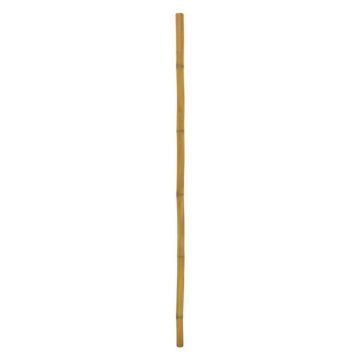 Canna di bambù di plastica CHIYOKO, marrone, 200cm, Ø5cm
