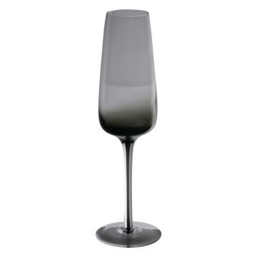 Coppa da champagne LUCIEL, grigio-trasparente, 23cm, Ø7cm