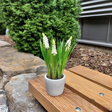 Fiore artificiale muscari NARMADA in vaso di cemento, bianco, 20 cm