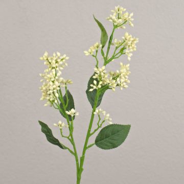 Ramo di viburno artificiale LABIBA con boccioli, crema, 60 cm