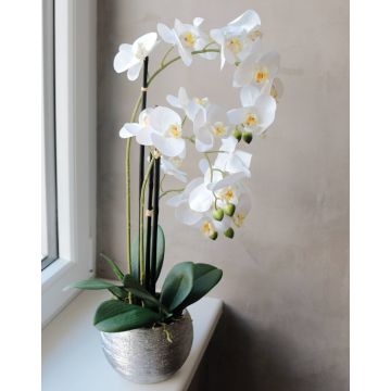Orchidea Phalaenopsis artificiale EMILIA, vaso decorativo, bianco, 65cm