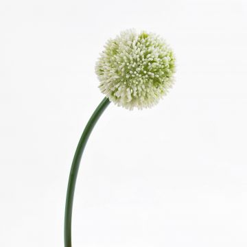 Allium di plastica BEATRISA, crema, 65cm, Ø10cm