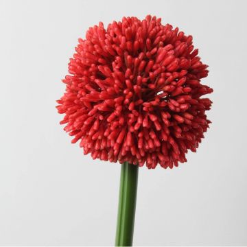 Allium di plastica BEATRISA, rosso, 65cm, Ø10cm