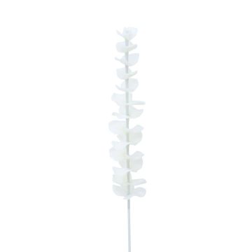 Ramo di eucalipto in plastica GLAUCO ottica in vetro, 12 pezzi, bianco, 80cm