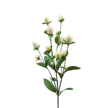 Ramo decorativo di amaranto THUSNELDA, crema-bianco, 70 cm