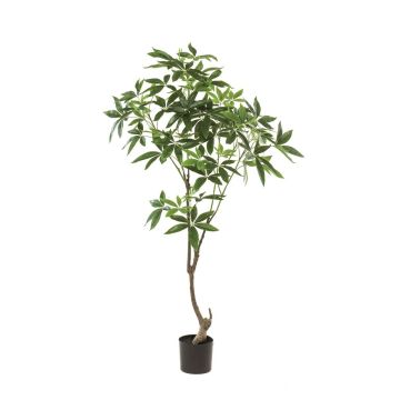 Albero artificiale di pachira CANTSA, tronco artificiale, 150 cm