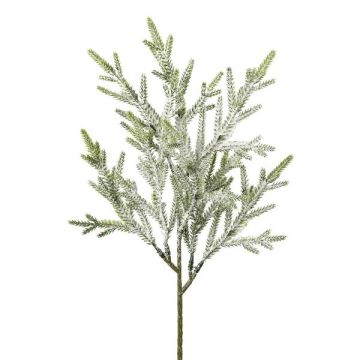 Ramo decorativo Abete FILTRES, innevato, bianco, 40 cm