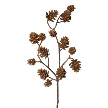 Ramo decorativo Abete KREMLA con pigne, marrone, 50 cm