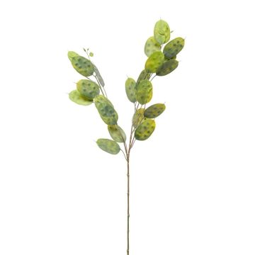 Ramo artificiale Lunaria JUDITHA, verde, 70 cm