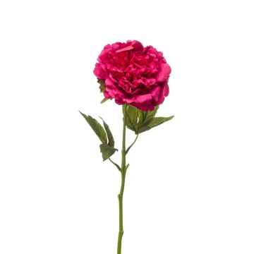 Peonia artificiale GAVRON, rosa scuro, 55 cm