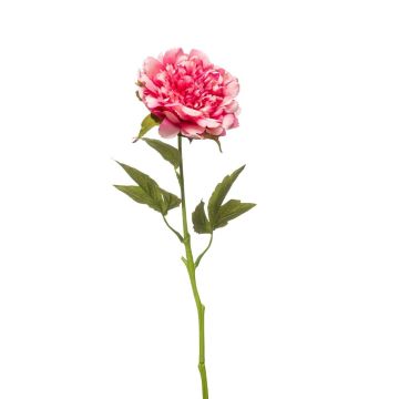 Peonia artificiale GAVRON, rosa, 55 cm
