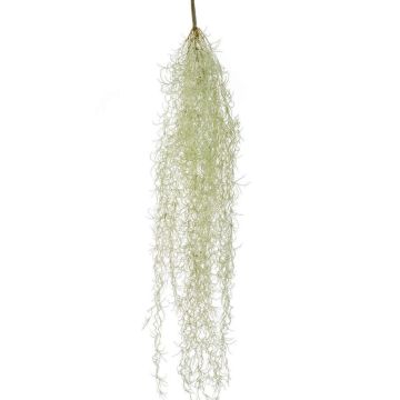 Pianta succulenta artificiale Tillandsia usneoides BRAVIK, bastone, difficilmente infiammabile, grigio, 85 cm