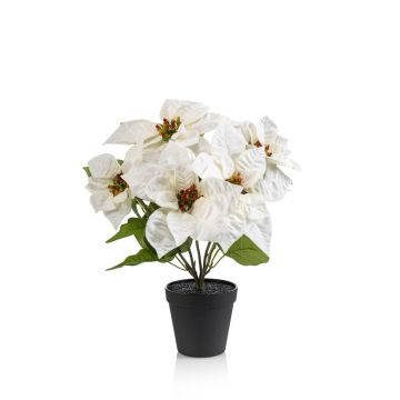 Stella di Natale artificiale GRULEN in vaso decorativo, color crema, 40 cm