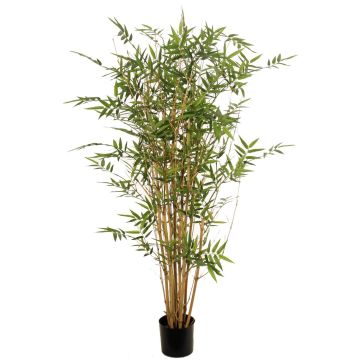 Pianta artificiale bambù KEAO, canne di bambù vere, 120 cm