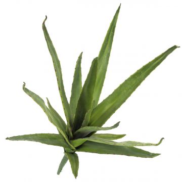 Aloe finto VERENA, su gambo zona trasversale, verde, 50cm, Ø40cm