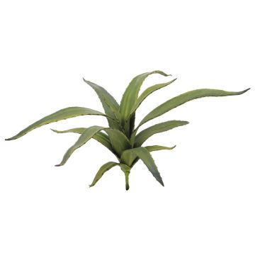 Aloe finto VERENA, su gambo zona trasversale, verde, 65cm, Ø50cm
