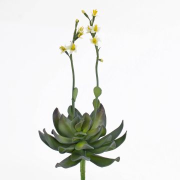 Eonio di plastica CHARLIZE con fiori, su gambo, giallo, 30cm