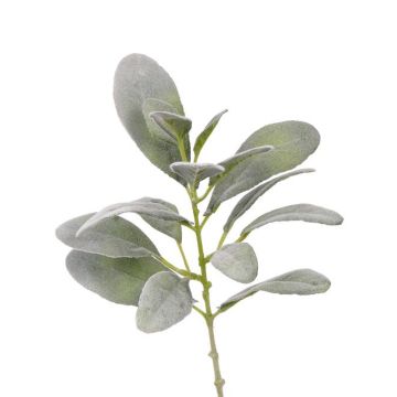 Ramo di stachys finto FERRIS, grigio-verde, 40cm