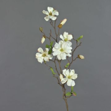 Ramo di magnolia artificiale MARGA, bianco, 80cm, Ø6-8cm
