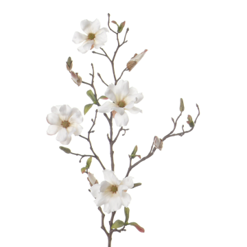 Ramo di magnolia artificiale MARGA, bianco, 80cm, Ø6-8cm
