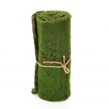 Tappeto di muschio CUNO, verde-marrone, 97x29cm